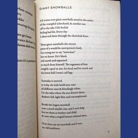 Book - Anybody: Poems, by Ari Banias - Picture 3 of 10
